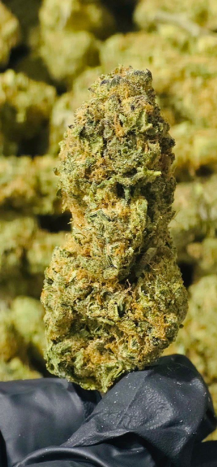 Cherry Cheesecake (Indica) [30.24% THCa] PRIVATE RESERVE